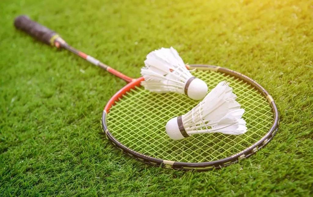 年国际足联 年国际足联